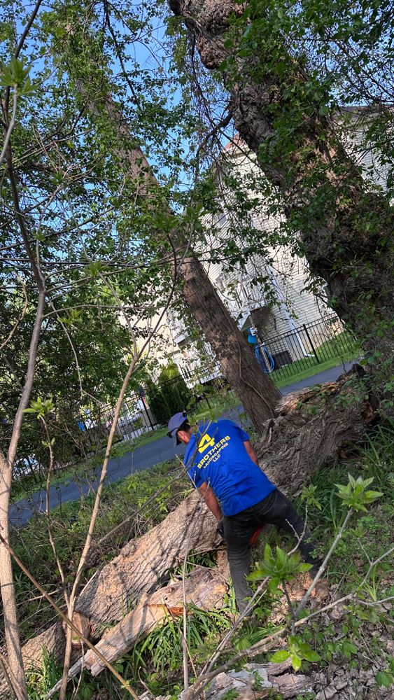 All Photos for 4 Brothers Landscaping LLC in Albany, NY