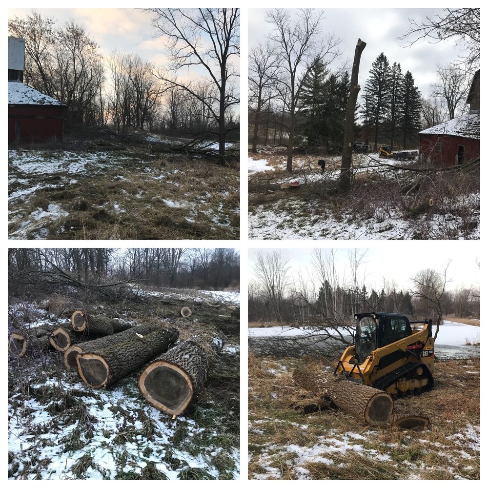 All Photos for Palmer Property Services in Middleville, MI