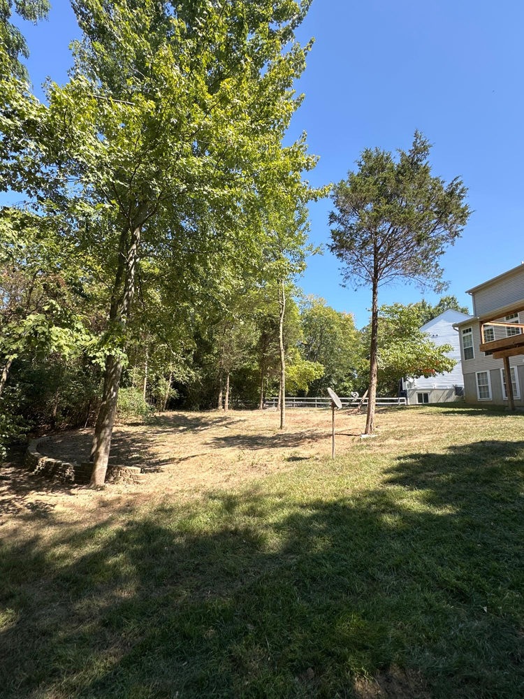 All Photos for Anstaetts Tree Service in Batavia, OH