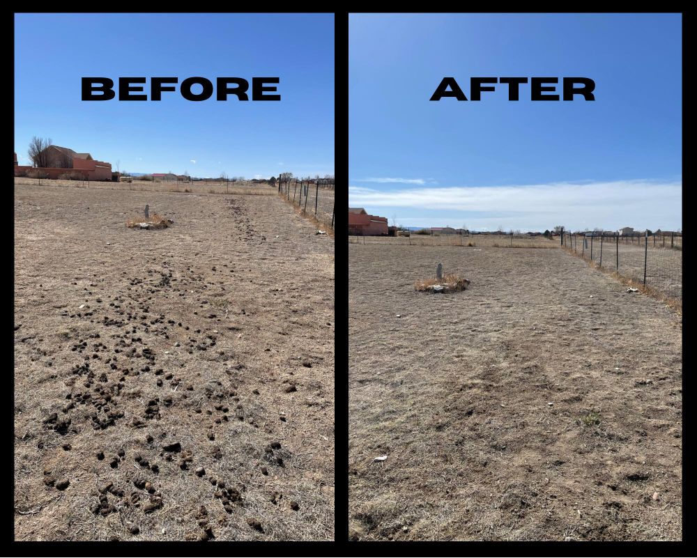 In-Home Service for Pooper Troops in Pueblo, CO