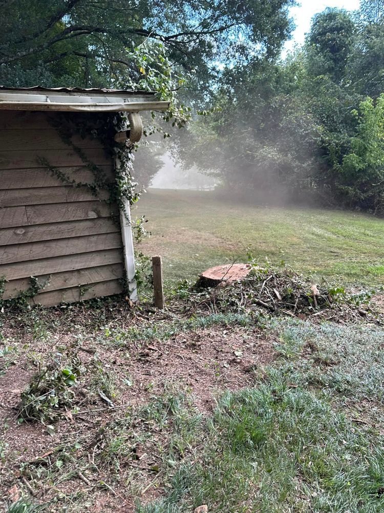 Tree Removal for Moore’s Tree Service in Chesnee, SC