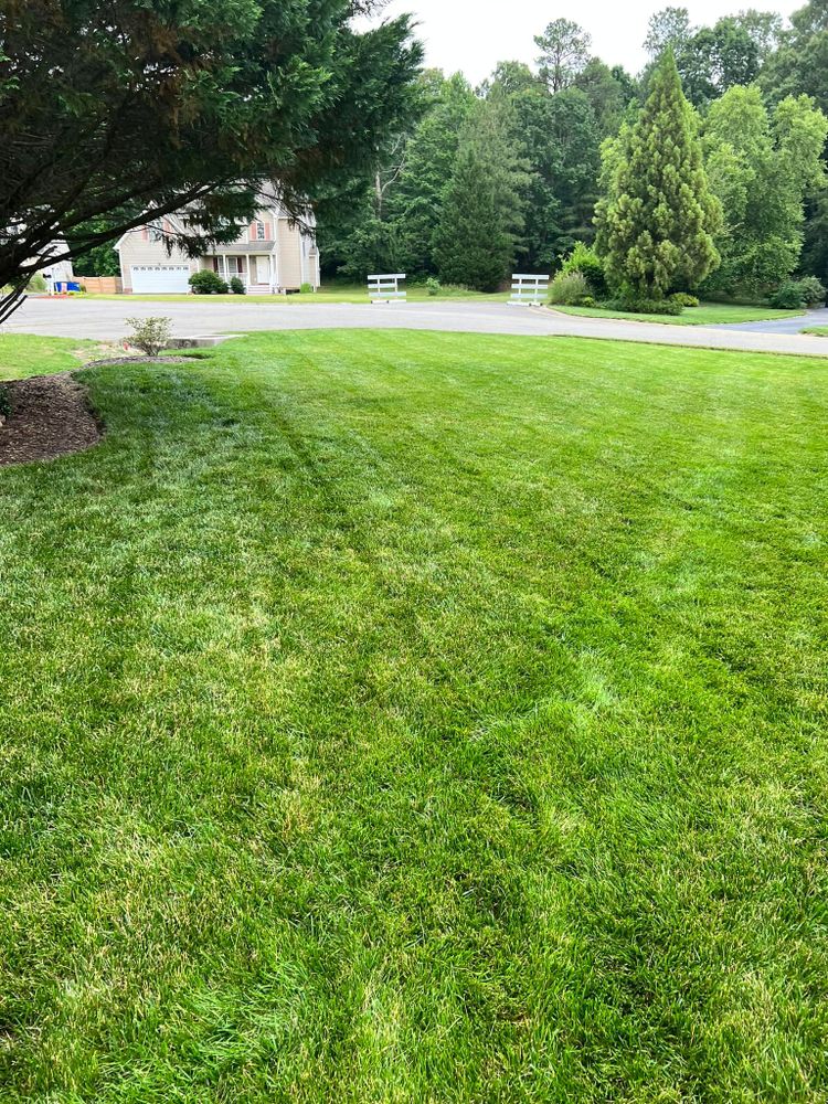 Mowing for Freedom Landscape LLC in Chesterfield, VA