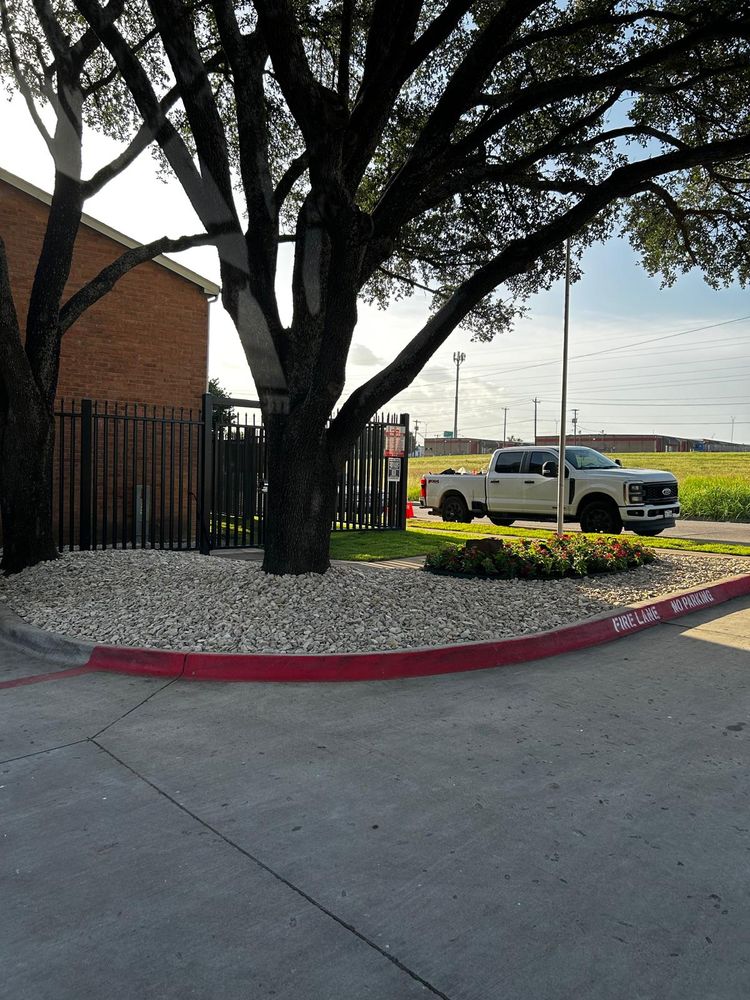 Seasonal color changes for Guerrero's Landscape in Fort Worth,  TX