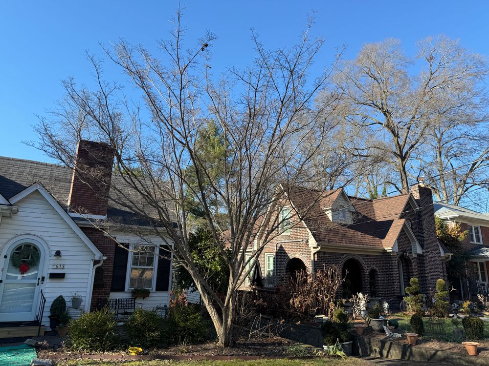All Photos for America's Top Pick Lawn & Landscaping in Gastonia, NC