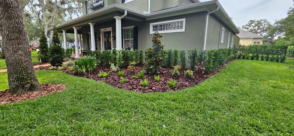 Landscaping for Tezna Landscaping, Trees & Pavers in Valrico, FL