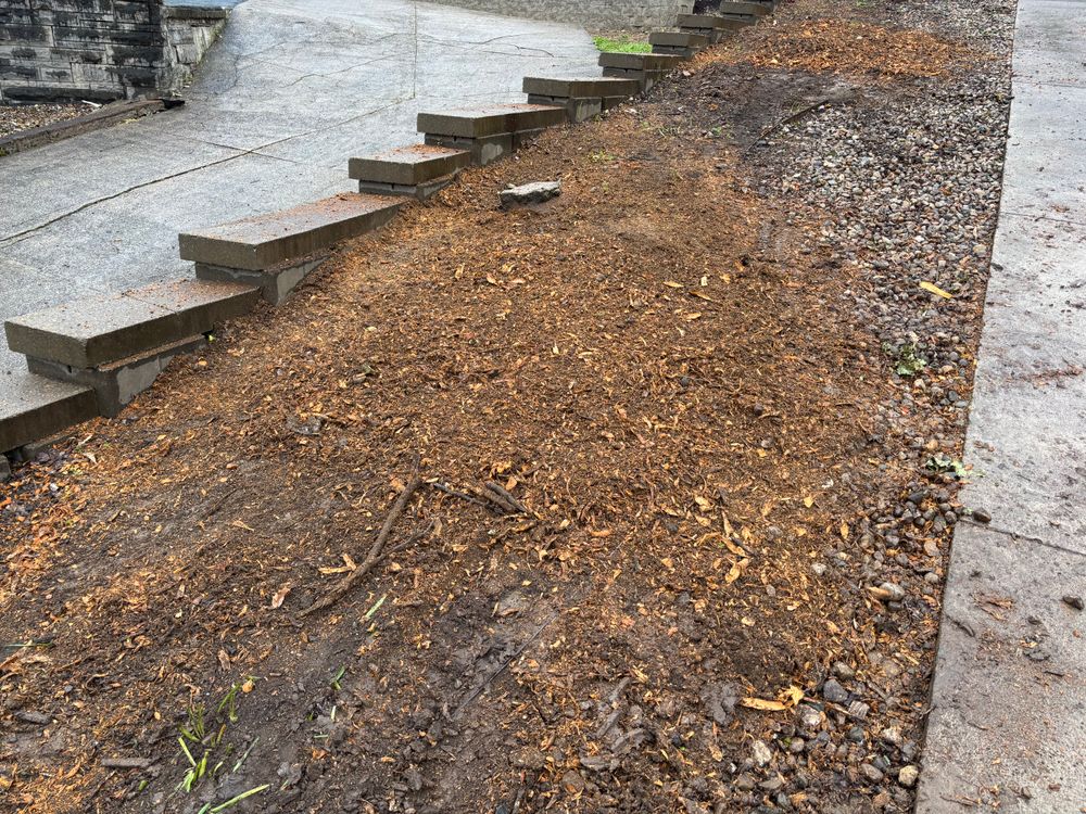 All Photos for Conrad's Stump Removal in Columbus, IN