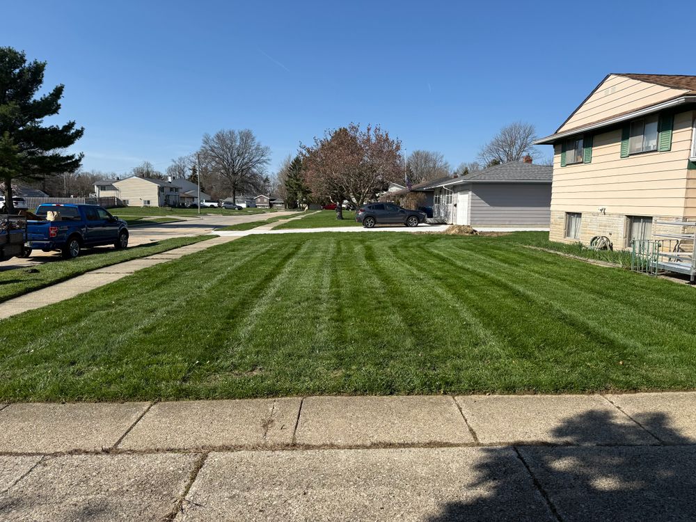 All Photos for Yard Theory in Willowick, OH