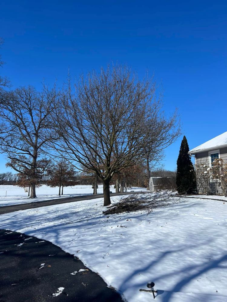 Tree Removal for Hunnicutt’s Tree Service L.L.C. in Monticello, IN