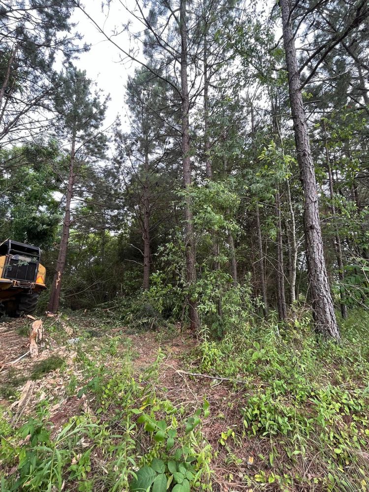 Our Bush Hogging service efficiently clears overgrown land, removing dense vegetation and small trees, to create a clean and manageable landscape. Ideal for property enhancement or preparation for further construction projects. for Green Land Management in Mount Pleasant, TN