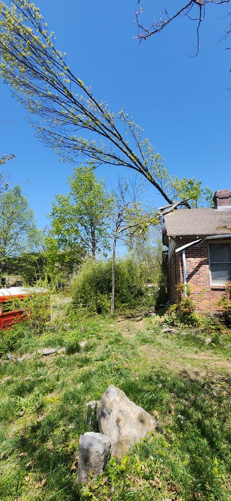 All Photos for Tree Fellers in Sumner County, TN