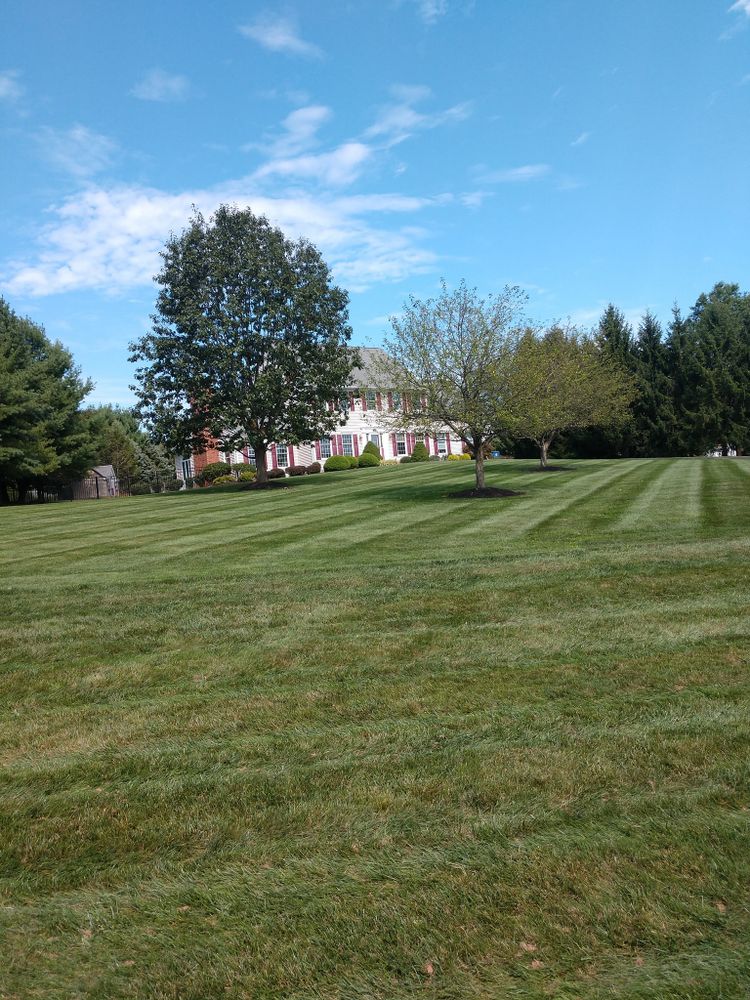 Property Maintenance for Ettere Landscape Services in Flemington, NJ