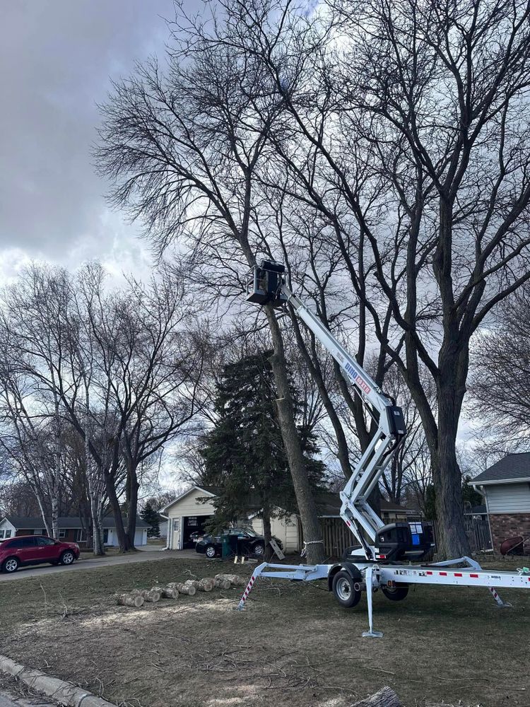 Our Forestry Mulching service efficiently clears land by grinding trees and brush into mulch, enhancing property aesthetics and health, while preserving soil integrity for quicker project progress and reduced environmental impact. for B & M Land Management in Green Bay, WI
