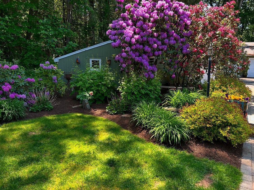 All Photos for Dibs Landscaping LLC in Cheshire, CT