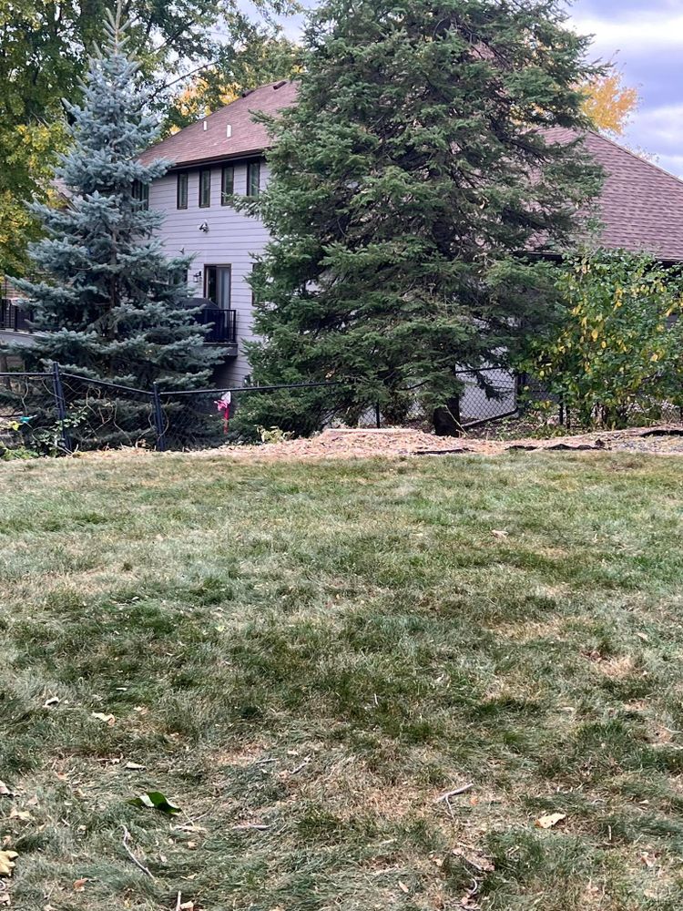 All Photos for Titan Landscaping in Rosemount, MN