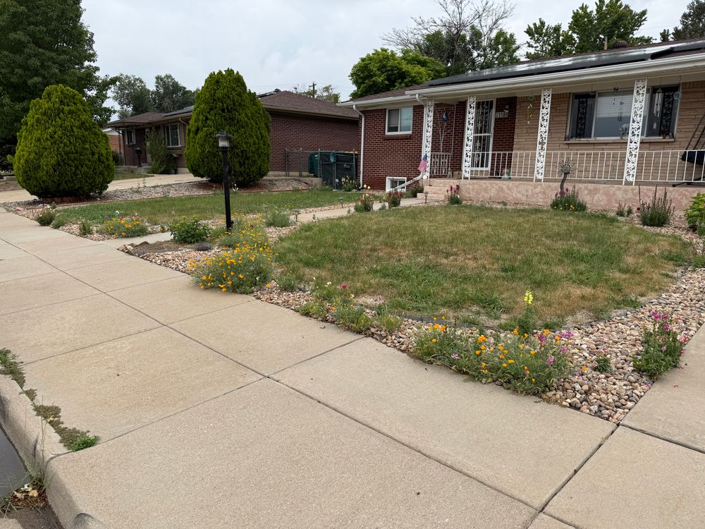 All Photos for Forever Green Turf Pros in Greeley, CO