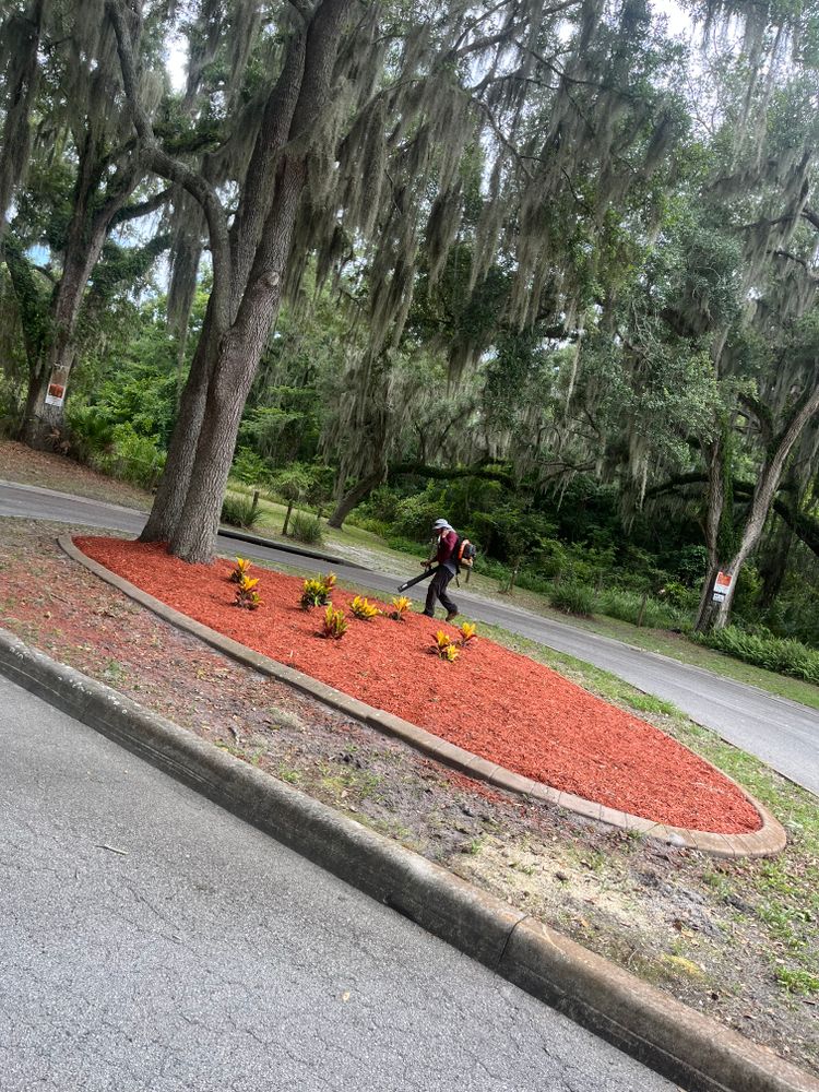 Enhance your home's curb appeal with our professional mulch installation service, providing nutrient-rich, weed-suppressing layers that protect plants while giving your landscape a polished and visually appealing finish. for New Era Lawn Care & Landscaping in Lakeland,  FL