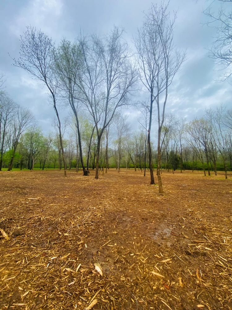 All Photos for Green Land Management in Mount Pleasant, TN