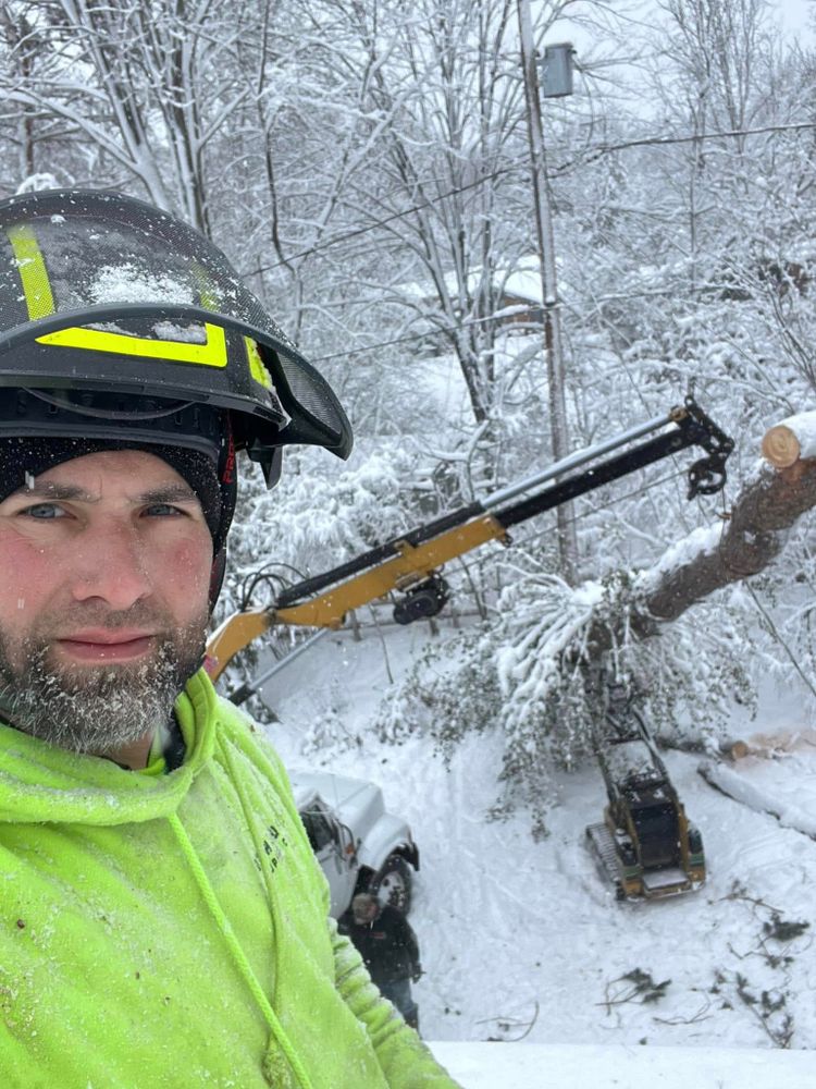 The Bucking Arborists team in Flint, MI - people or person