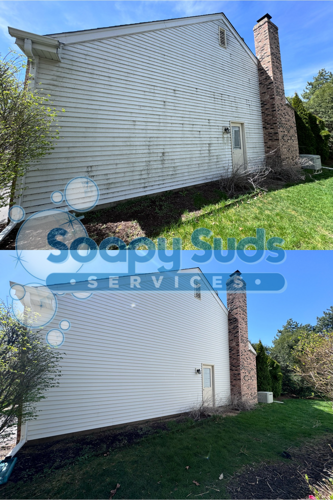 Home Softwash for Soapy Suds Services in St. Charles, IL