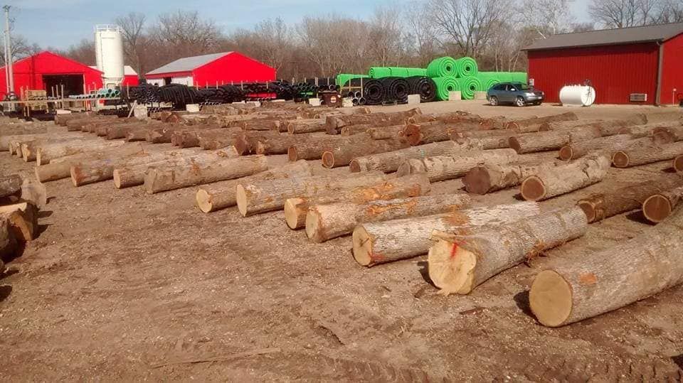 Logging for Pure Iowa Logging in Cedar Rapids, Iowa