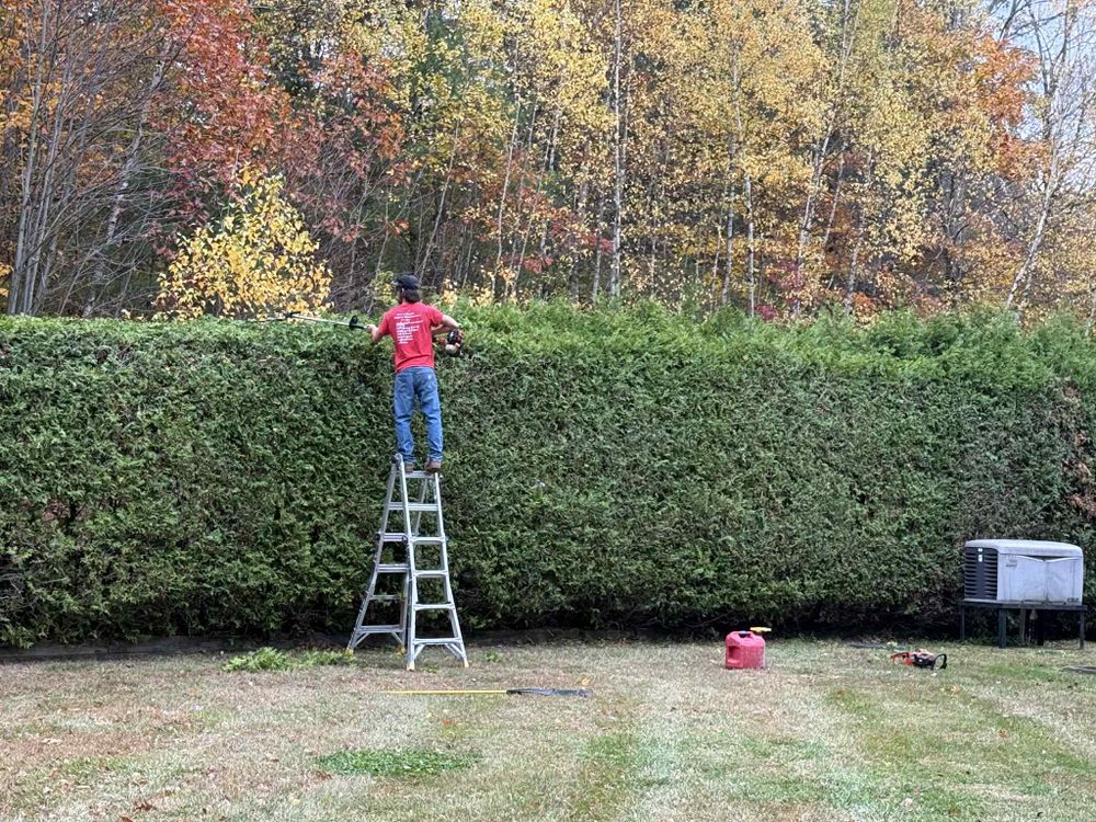 Our shrub trimming service shapes overgrown bushes, promotes healthy growth, improves curb appeal, and keeps your landscape neat, polished, and well-maintained with precise care tailored to your property year-round. for Mow N Maintain Property Maintenance in Williston, VT