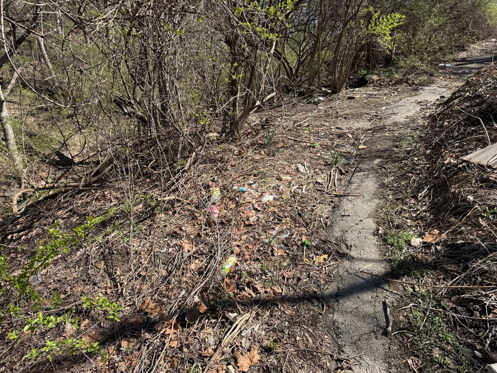 All Photos for A1 Bush Hogging & Lawn Service in London, OH