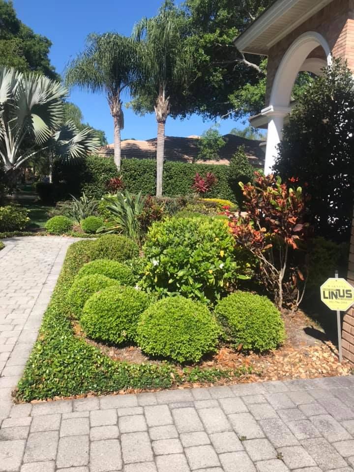 Enhance your home's curb appeal with our professional shrub trimming service, providing precise cuts and shaping to ensure healthy growth and beautifully manicured landscapes tailored to fit your unique outdoor space. for Greens Landscaping in Clearwater, FL
