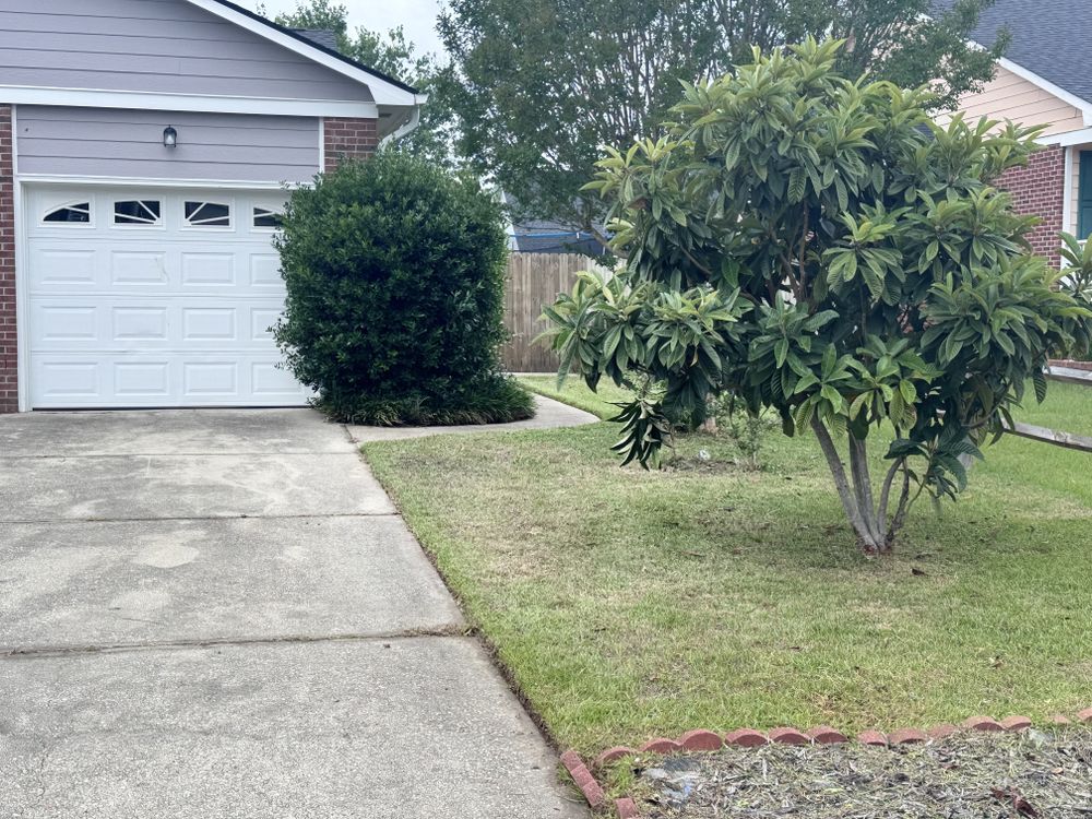 All Photos for Trinity Landscapes  in Lumberton, NC