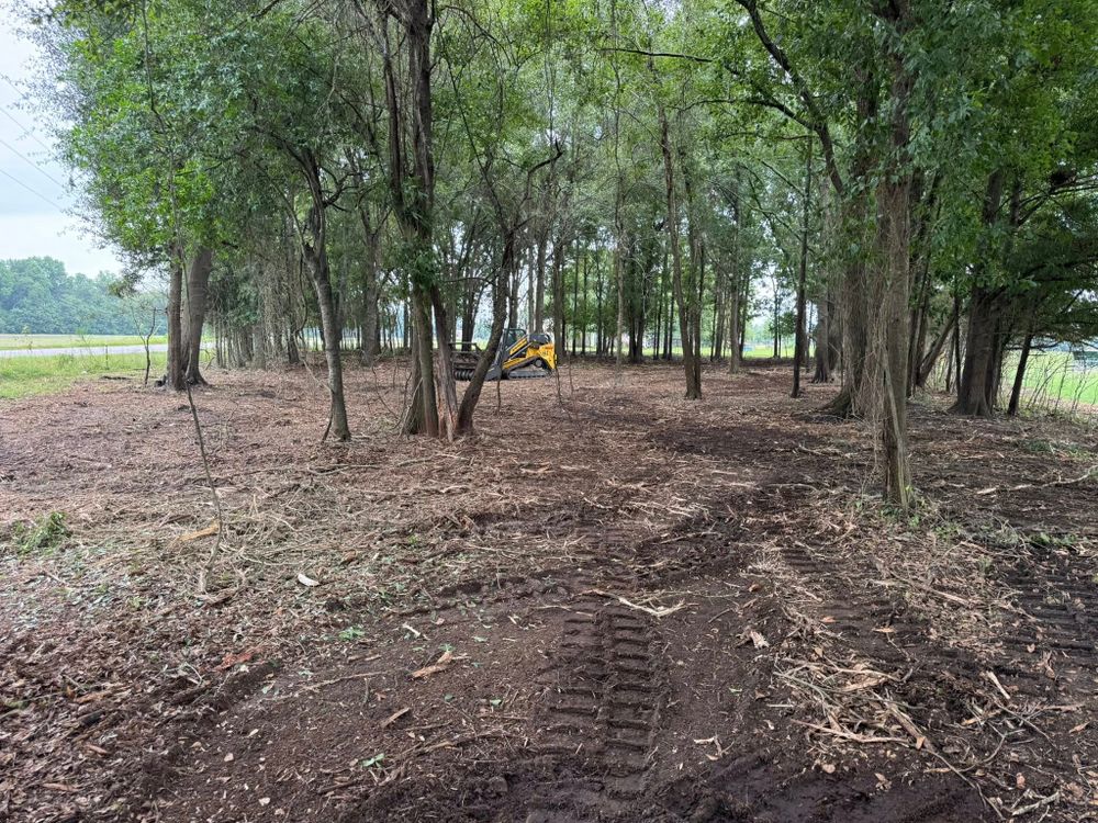 Our Forestry Mulching service efficiently clears land by grinding vegetation into mulch on-site. This eco-friendly method improves landscape health while preparing your property for future projects or maintenance with minimal disruption. for Clean Acres LLC in Hartsville, SC