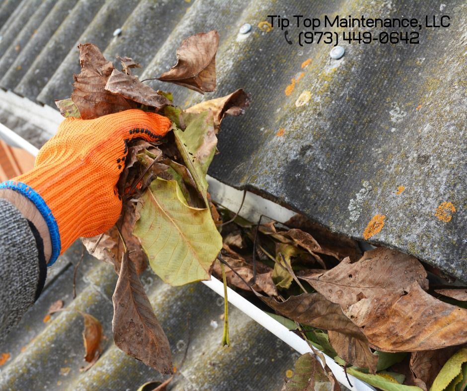 All Photos for Tiptop Maintenance LLC in Florham Park, NJ