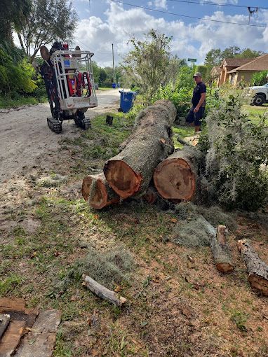 All Photos for Near Me Tree Service, Inc. in DeLand, FL