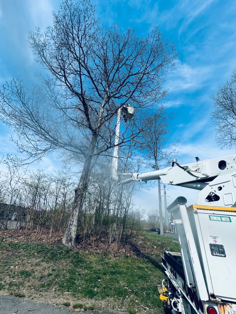 All Photos for Hennessey Tree & Landscape LLC in Oxford,  CT 