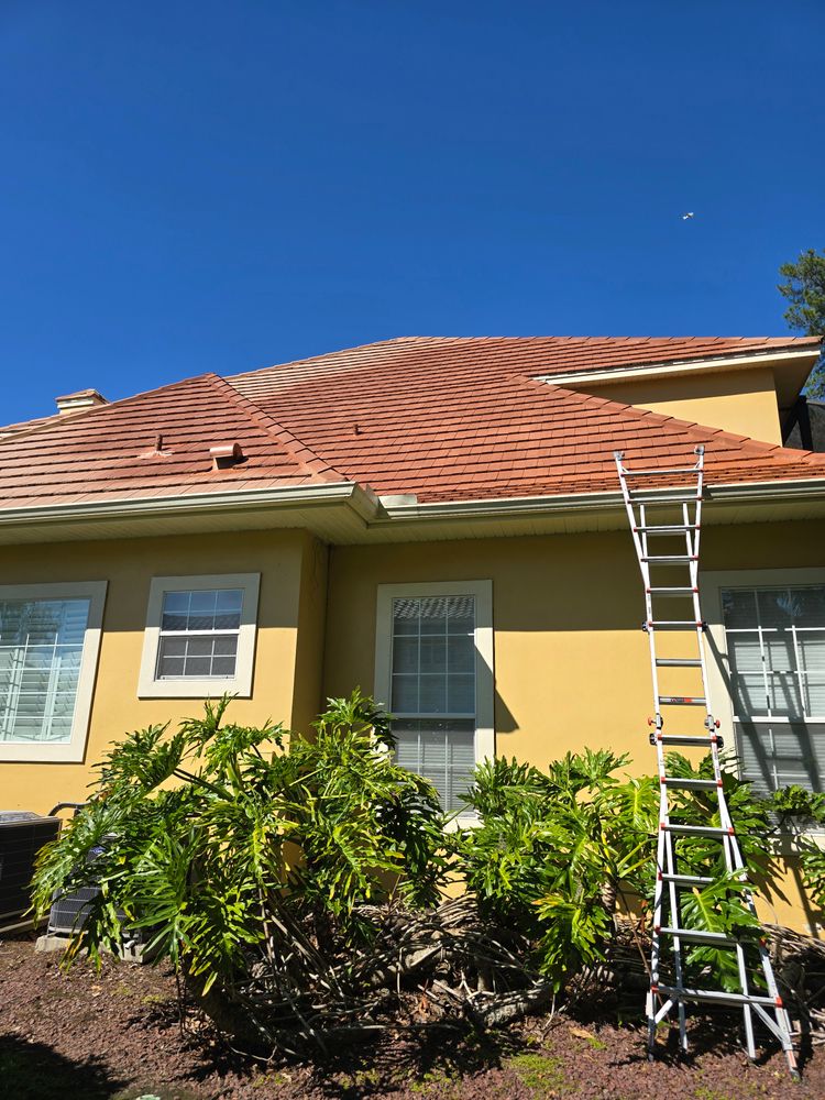 All Photos for Affordable Painting & Handy Services in Apopka, FL