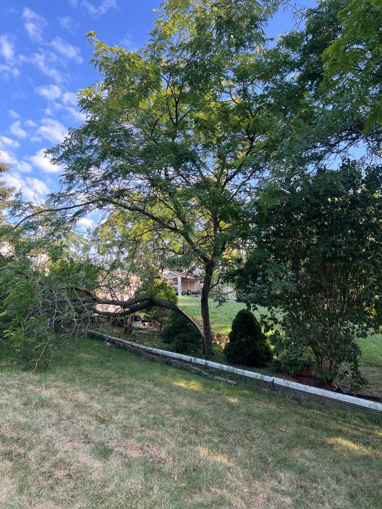 All Photos for CMN Exterior Maintenance in Hamilton, ON