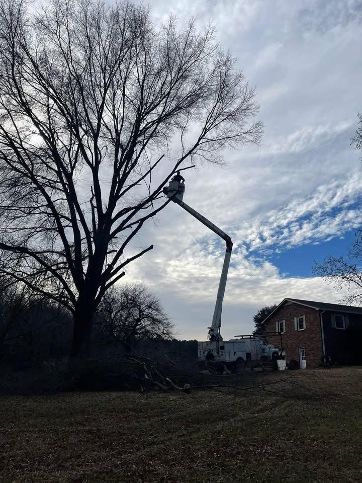 All Photos for Down South Tree Care and Landscaping in Maiden, NC