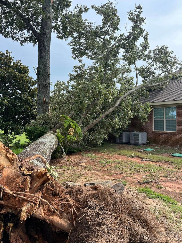 Our Storm Services specialize in storm damage clean up to help homeowners restore their properties after severe weather events by removing debris and ensuring the land is cleared safely and efficiently. for Mud Creek Vegetation Management in Russellville, AL