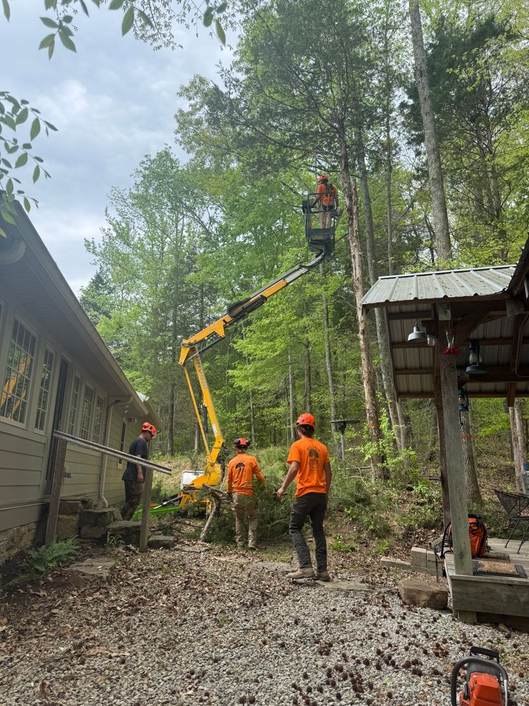 All Photos for Ross Family Tree Service LLC  in Hohenwald, TN