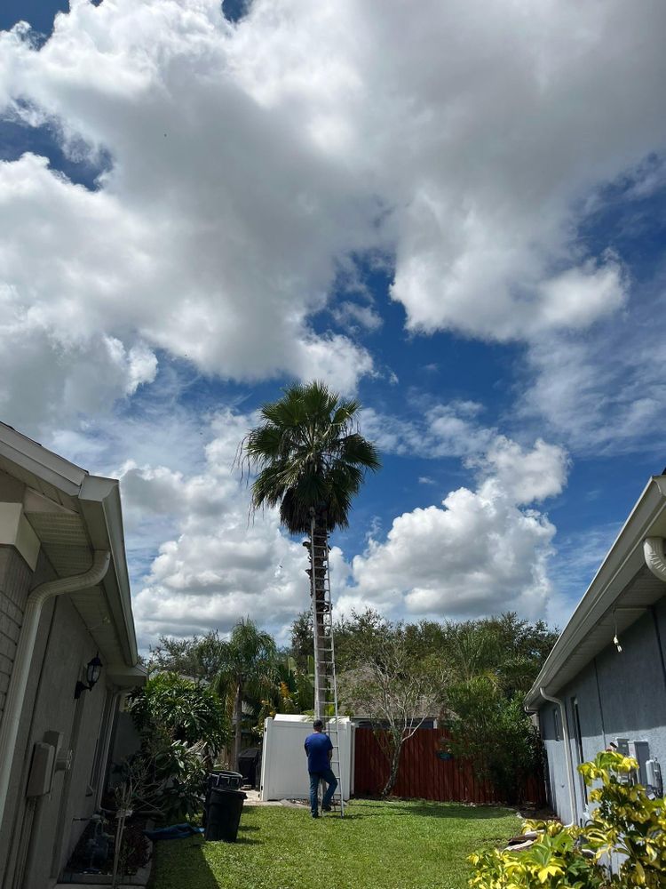 All Photos for Bills Tree Service in Valrico, FL