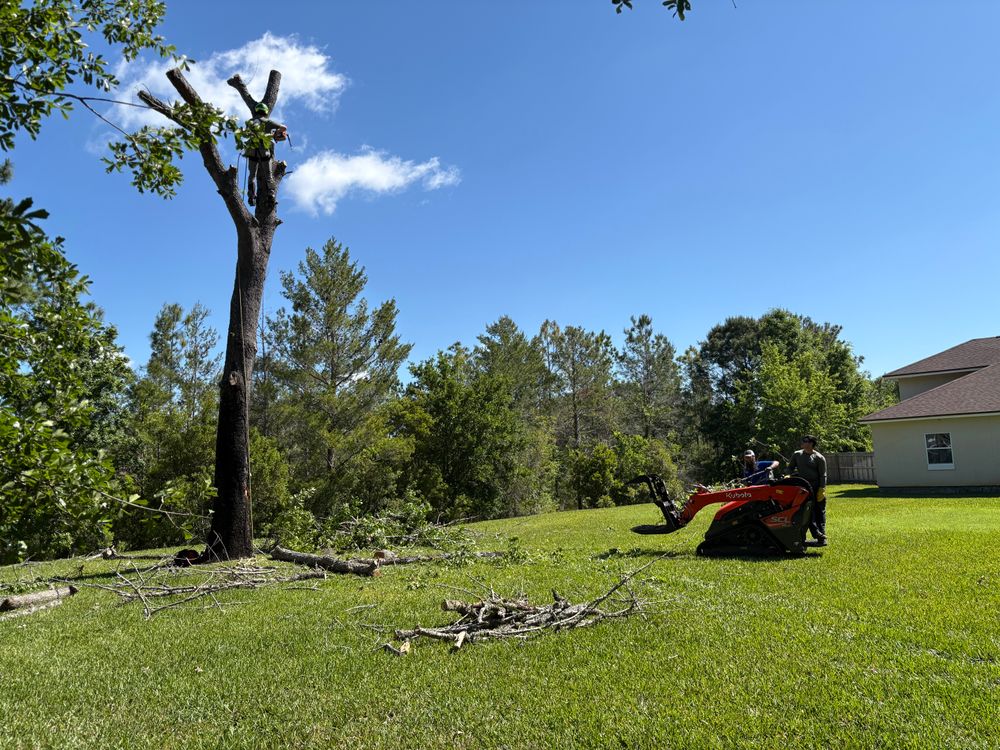 All Photos for Top Notch Tree Experts in Orange Park, FL