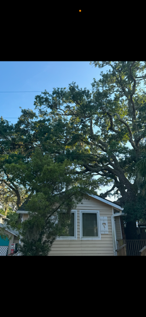 All Photos for Hawkins Tree Service & Land Management in Richmond Hill, GA