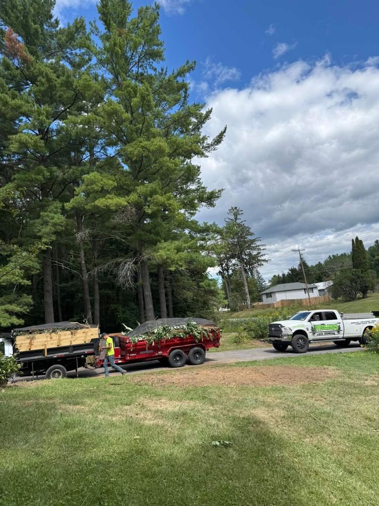 All Photos for Sterlings Tree Removal in Cobleskill, New York