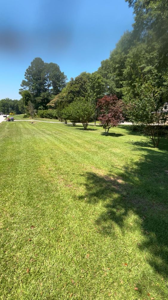 All Photos for WD Lawn Services in Loganville, GA