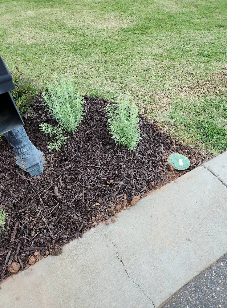 All Photos for Upstate Lawncare Maintenance in Easley, SC