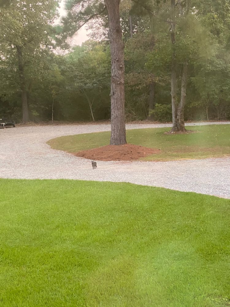 All Photos for Daniel's Dumpsters & Land Improvements in Monroe, LA