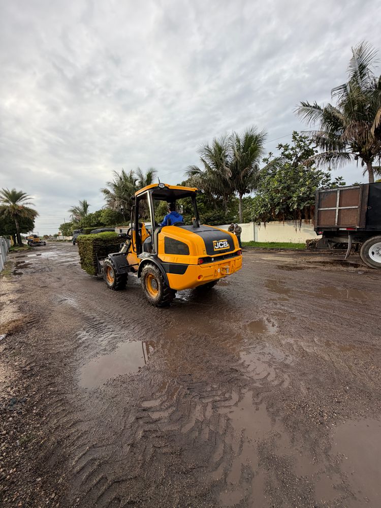 All Photos for Nurry Tree Services in Miami, FL