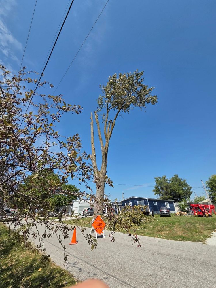 All Photos for Lawn Ranger Yard And Tree Service LLC in Ottumwa, IA