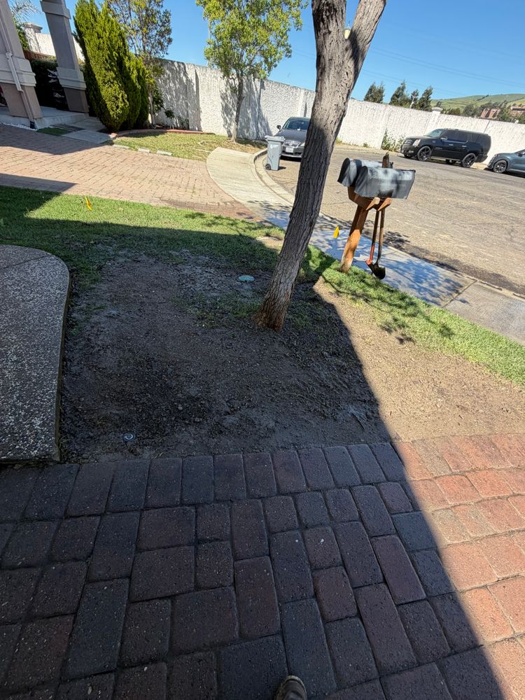 All Photos for CBA Landscaping in Hayward, CA