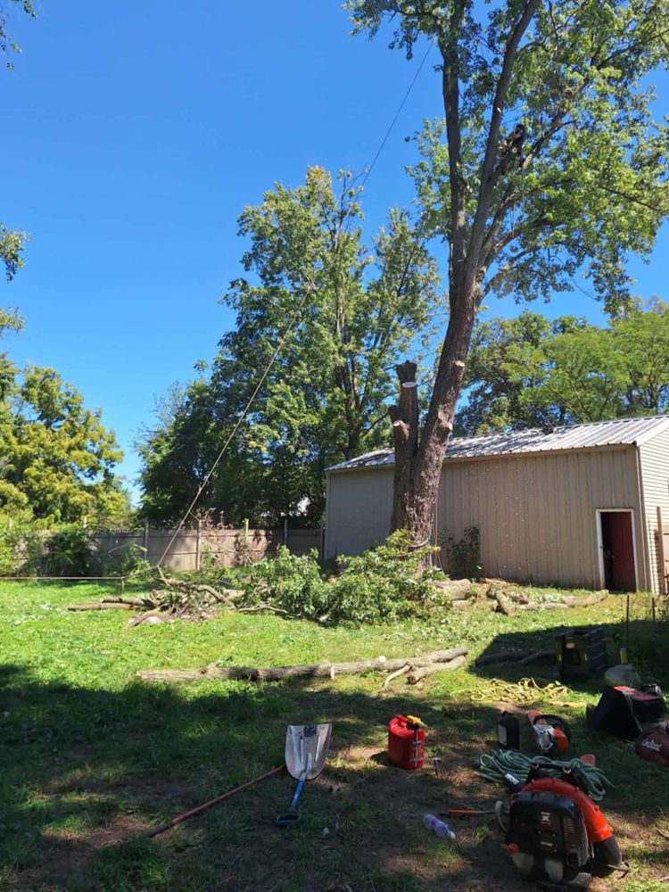 All Photos for Highborn Tree Service in Wheatfield, IN