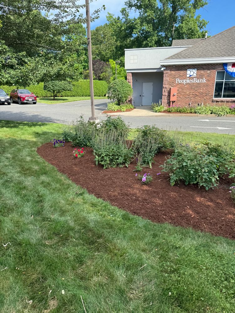 All Photos for Adams Landscaping in Springfield, MA