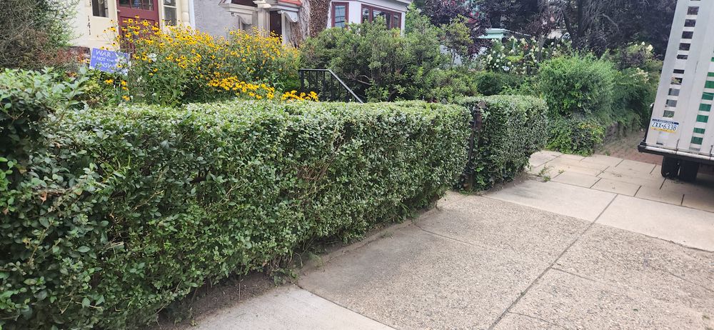 All Photos for Green Lawn Care in Ambler, PA
